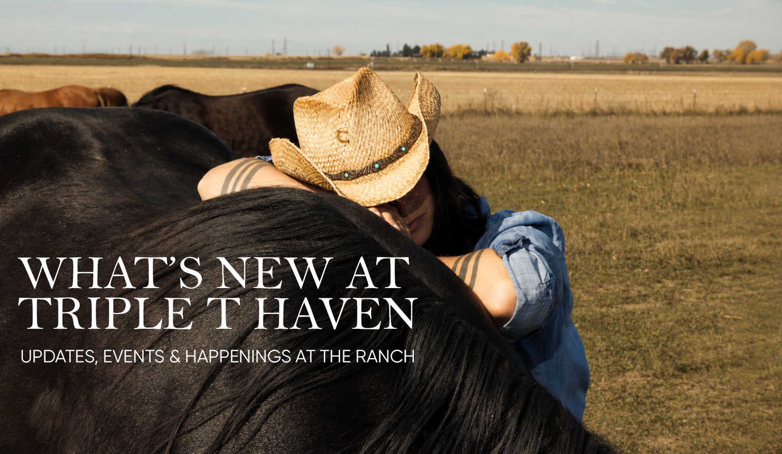 What’s new at Triple T Haven: updates, events and happenings at the ranch.